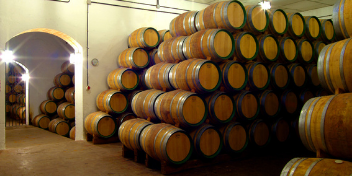 bodega felix solis